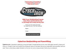 Tablet Screenshot of cyberiron.com
